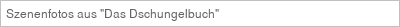 Szenenfotos aus "Das Dschungelbuch"